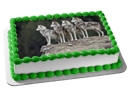 Wolf Family Grey Rock Edible Cake Topper Image ABPID06149 For Cheap